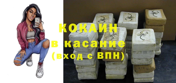 индика Белокуриха