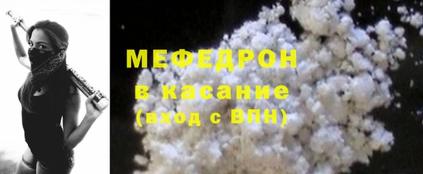 индика Белокуриха